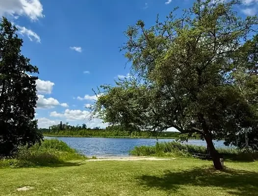 Gmina Widuchowa ogłasza przetarg na zagospodarowanie plaży w Lubiczu