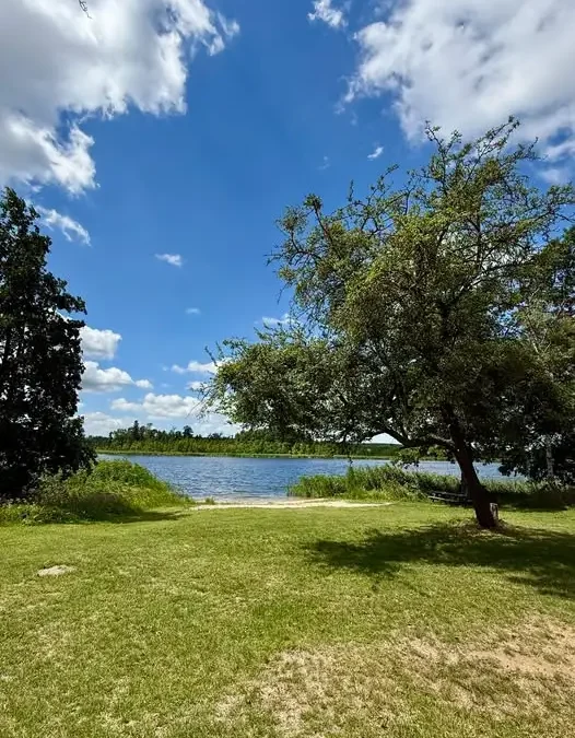 Gmina Widuchowa ogłasza przetarg na zagospodarowanie plaży w Lubiczu