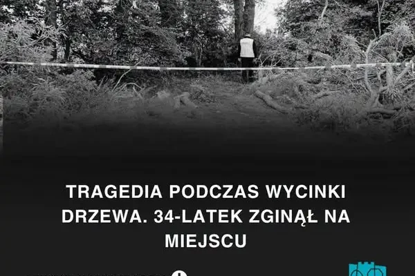 Tragedia podczas wycinki drzewa. 34-latek zginął na miejscu