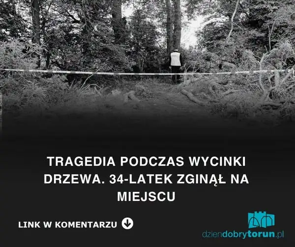 Tragedia podczas wycinki drzewa. 34-latek zginął na miejscu