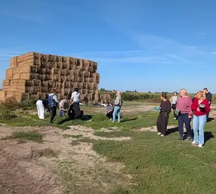 Wycieczka do Alpakosfery w Brąchnówku w ramach projektu LOWE