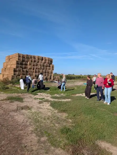 Wycieczka do Alpakosfery w Brąchnówku w ramach projektu LOWE
