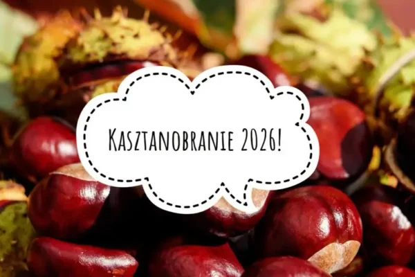 Szkoła w Lubicz Dolny zachęca uczniów do zbiórki kasztanów i żołędzi dla leśnej zwierzyny