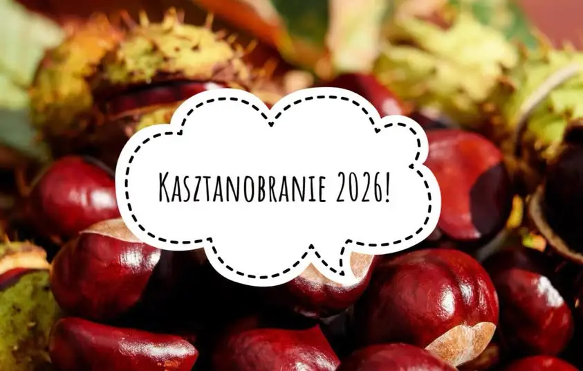 Szkoła w Lubicz Dolny zachęca uczniów do zbiórki kasztanów i żołędzi dla leśnej zwierzyny