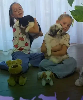 Psia impreza na wybiegu przy Mickiewicza – świętuj Światowy Dzień Zwierząt