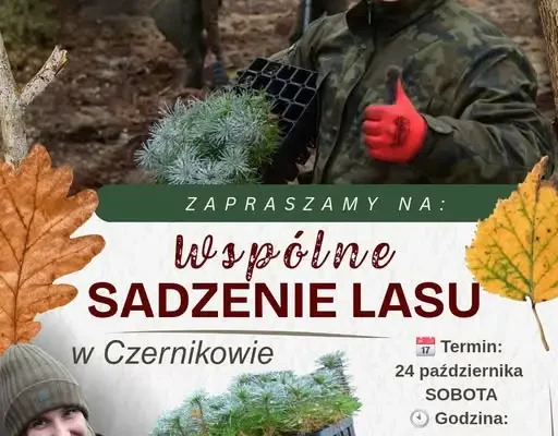 Wspólne sadzenie lasu w Czernikowie – już w sobotę!