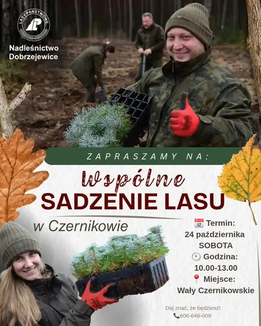 Wspólne sadzenie lasu w Czernikowie – już w sobotę!
