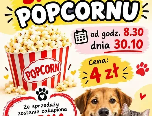 Szkolne Koło Wolontariatu organizuje charytatywną sprzedaż popcornu dla schroniska